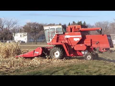 Massey Ferguson 550 Tackles Corn 2019 11 18