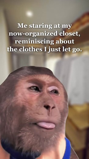 253K views · 1K reactions | Me admiring my freshly organized closet while lowkey missing the chaos 沈 #DeclutterDrama #ClosetCleanout | Home Reimagined | Facebook