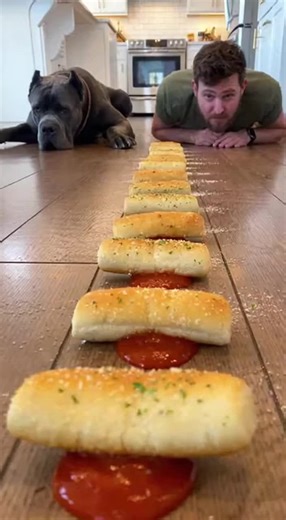 Ready 🙂🙂#dogtok #challenge #puppychallenge #usatiktok #dogchallenge