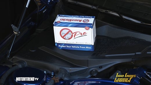 1.4K views · 19 reactions | Now that this Mustang GT project is done,...