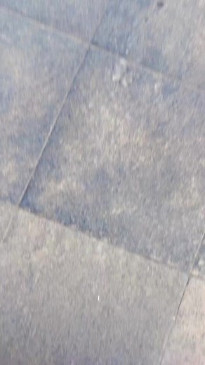 58K views · 2.5K reactions | Show me how to say I live | Simran viral creator | Facebook