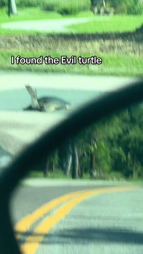 Evil Turtle: The Scariest Character in Gumball
