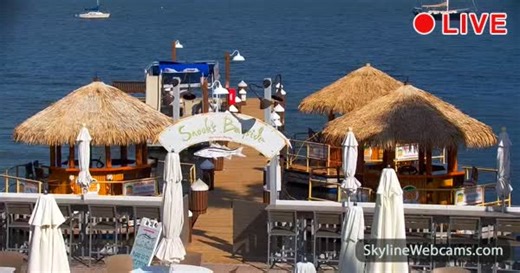 【LIVE】 Live Cam Key Largo - Snook's Bayside | SkylineWebcams