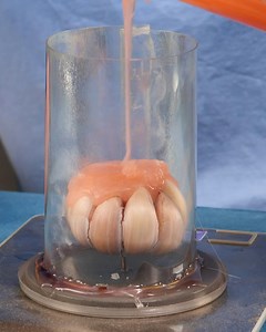 1.4M views · 948 reactions | Garlic Molding At Home?! | Science, Tech and Universe | Facebook