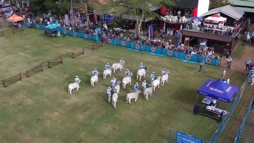 Agri Show Season Throughout 2023, we showcased the best agriculture shows in the The Agri Show Season as produced by AgriConnect . We are looking forward to a few more replays only on DStv Channel 180 and OpenView Channel 115 this December and a great lineup for 2024. | People's Weather | Facebook