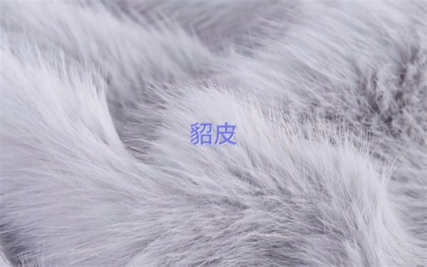 什么是貂皮？