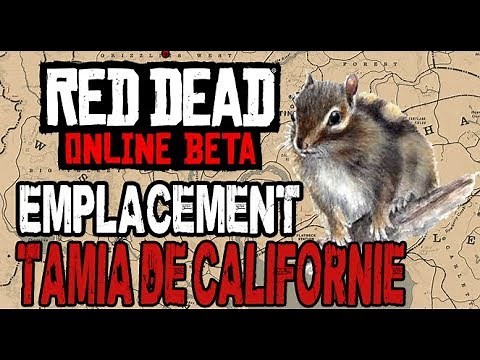 RED DEAD ONLINE - EMPLACEMENT TAMIA / chipmunk location