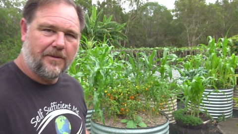 5 Underplanting Examples to Grow Vegetables Out of Season & Save Space