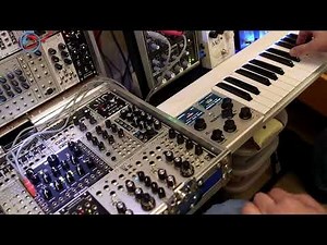 Mellotron Mini Through A Strymon Magneto - The Basics