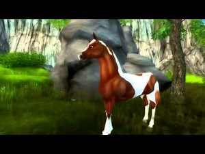 Star Stable World - American Paint Ló