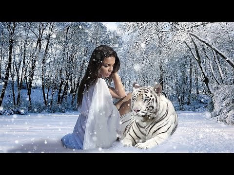 Musique Relaxante Anti Stress Reposante Douce Forets Nature (6 heures)