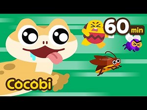 Baby Lizard is Coming! The Lizard Song and More | Animal Song for Kids | Cocobi