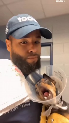 POV: when you wake up from the deepest nap ever 😴🐾 Tag your sleepy friend 😆👇 #SleepyDog #DogReels #PetLoversClub #DogsBeingDramatic #PawtapzFam #DoggyMood #PetReels #FunnyAnimalReels #DogsOfIG #PuppyLove #DogContent #AnimalVibes #DogMoods #FunnyPetReels | kute_petz