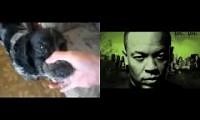 Mix of 2 videos from youtube : addddddddddddddddddddddddddddddddddddddddddd