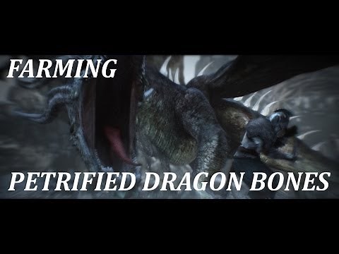 Dark Souls 2 - Petrified Dragon Bone Farming