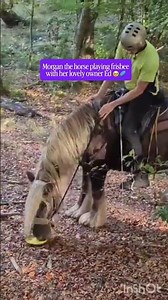 Morgan the horse playing frisbee with her lovely owner Ed!
