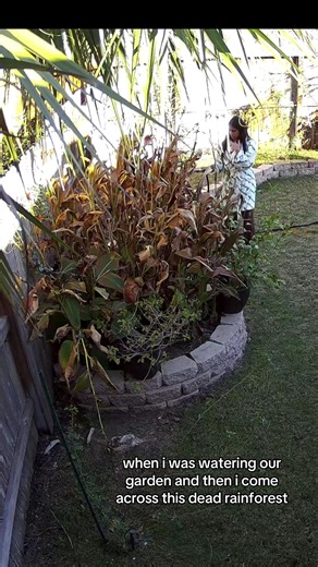 putting a use to the cameras our parents decided to install