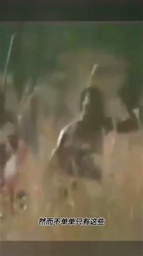 Incredible Hunting Skills of a Primitive Tribe 🏹🔥#PrimitiveTribe #TribalHunting #WildlifeDocumentary