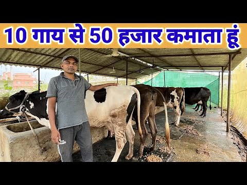 How To Start Dairy Farm Business || small dairy farm business plan