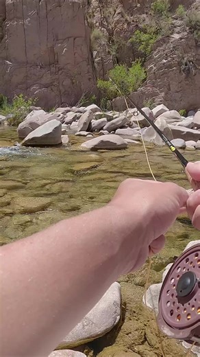 pesca con mosca #pesca #pescadeportiva #pescaconmosca #flyfishing #pescador