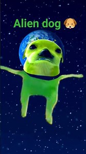 Alien dog 🐶