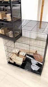 Preparing large colony cages inside the finch breeding room. A calm process behind a stable environment. #birds #fblifestyle #gouldianfinch | Indra Prihantoro