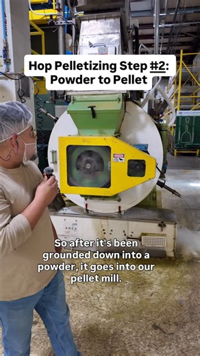 Loftus Ranches on Instagram: "Step #2: Grinder to mixing tank to pellet mill ⚙️ After the Bale Breaker breaks down the hop bales, the hop material is sent up through an air system to a grinder and then to a mixing tank where the hops are ground and mixed into a uniform powder. The powdered hops are then sent to a pellet mill where the powder is formed into T-90 pellets that brewers will use to make beer all year long."
