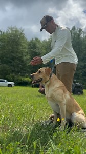 If you ever wanted to know what the Handler is communicating to the dog, this video says a whole lot with very small movements, and they don’t just happen automatically. This is purposeful and training to move in sync (and not like the boy band) takes a long time, and a lot@of patience. Here is one of my favorites with Alex @a_worner and Milo - it’s the smallest pat on the leg that signals to Milo the direction he needs to be going, the movement is that subtle. (It also helps when the owner is a