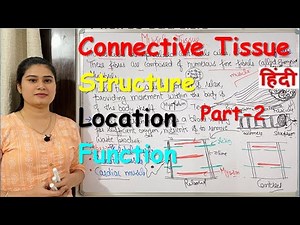 Connective Tissue in Hindi | Part-2 | Structure | Locations | Types | Functions