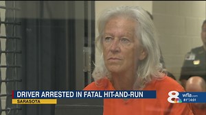 Sarasota police arrest suspected driver in deadly hit and run crash that killed two young children