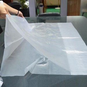 [Hot Item] LDPE Plastic Clear Food Grade Food, Bread, Vegetable Carton Liner Packaging Bag