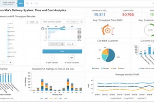 Celonis Challenge: Delivery Process Analytics