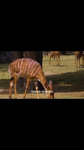 Innovation Unveiled Exploring the Frontiers of Science and Technology 1