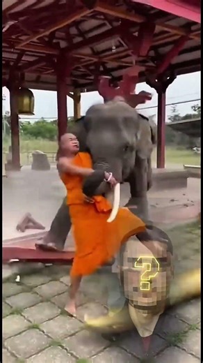 Elephant Hugs Monk 🐘❤️ | Purest Moment Between Human & Elephant