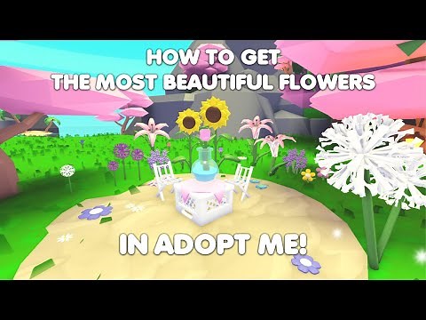 HOW to get the MOST beautiful flowers in Adopt me!