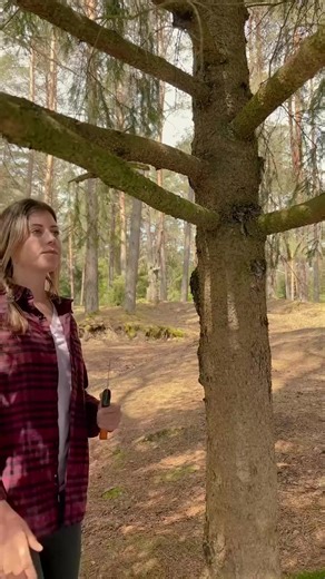 1.2K views | How To Make a Fire Torch! | Dear Diary | Facebook