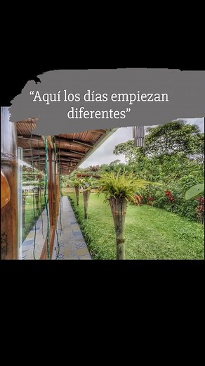 “En ShantihOMe los amaneceres tienen su propio ritmo. Río, bosque y silencio. ¿Te gustaría despertar así en diciembre?” #ShantihOMe #ChocóAndino #TurismoEcológico #Escapada #EcolodgeEcuador #Mindo #Paz #NaturalezaViva | Shantihome - Ecolodge 20 min from Mindo | Facebook