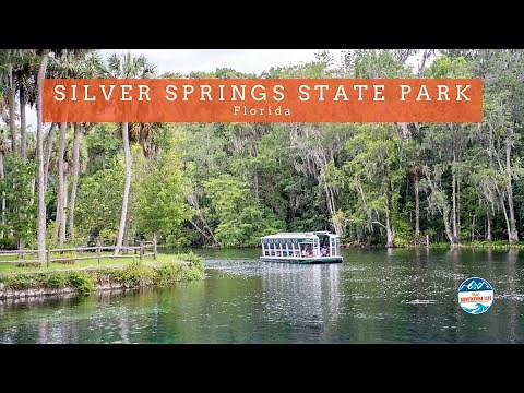 How to Spend Your Day at Silver Springs State Park | Florida