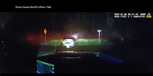 Dog launched from windshield after police chase, dash camera video shows