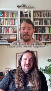 Krill Fishing Industry EXPOSED!📢 Get exclusive insights from Captain Peter Hammarstedt, Sea Shepherd Global's Director of Campaigns, and Alistair Allan, the Antarctic Campaigner at Bob Brown Foundation, as they reveal their mission in Antarctica. Support our campaign as we prepare to return with the Allankay to confront the krill fleet in early 2024 and protect the pristine waters of #Antarctica. ✊ https://seashe.ph/donate #stopkrillfishing #seashepherd #marineconservation | Sea Shepherd