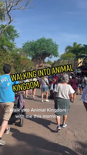 The Tree of Life! #animalkingdom #fyp #disney #tiktok #distok #fypシ #disneylife #fun #treeoflife #disneyworld #florida