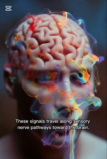 How Taste Buds Really Work—The Science Behind Flavor#facts #medicalanimation #humanbody #3danimation