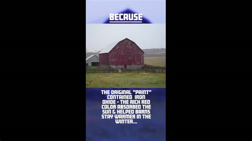 Why are tennis balls fluorescent yellow?