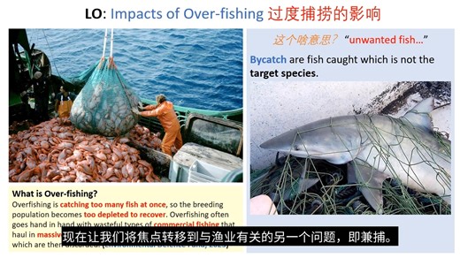 IGCSE- Environmental Management 5.3 Impacts of Overfishing