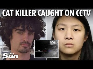 Cat killer Scarlet Blake's final route with stranger before killing him, as she's jailed for life