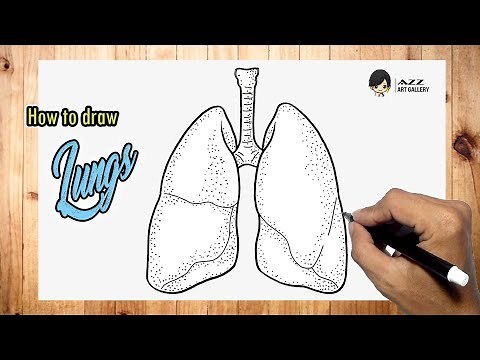 How to draw Lungs