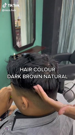 Dark Brown Natural Hair Color: Men's Garnier Review