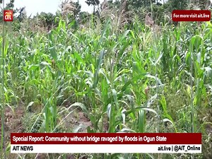 46 reactions · 3 comments | Special Report: Community without bridge ravaged by floods in Ogun State | AIT Online | Facebook