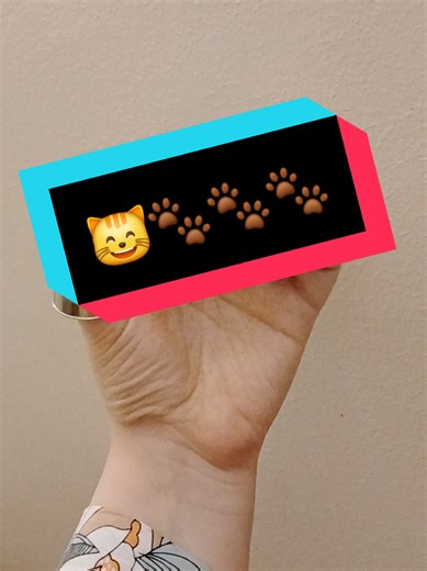 ‏Grrrr 🐾🐱 bakers version 😸 🖐✊️ #grr #viral #fyp #minis