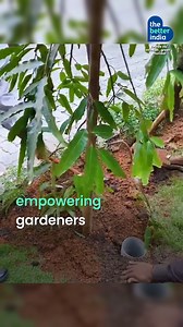 186K views · 2.1K reactions | Watch this simple DIY composting tube, designed by Subhajit Mukherjee, that turns your kitchen waste into organic fertiliser! #DIYComposting #OrganicFarming #KitchenWaste #ZeroWaste [DIY composting solutions, Kitchen waste management, Subhajit Mukherjee, Mission Green initiative] | TheBetterIndia | Facebook